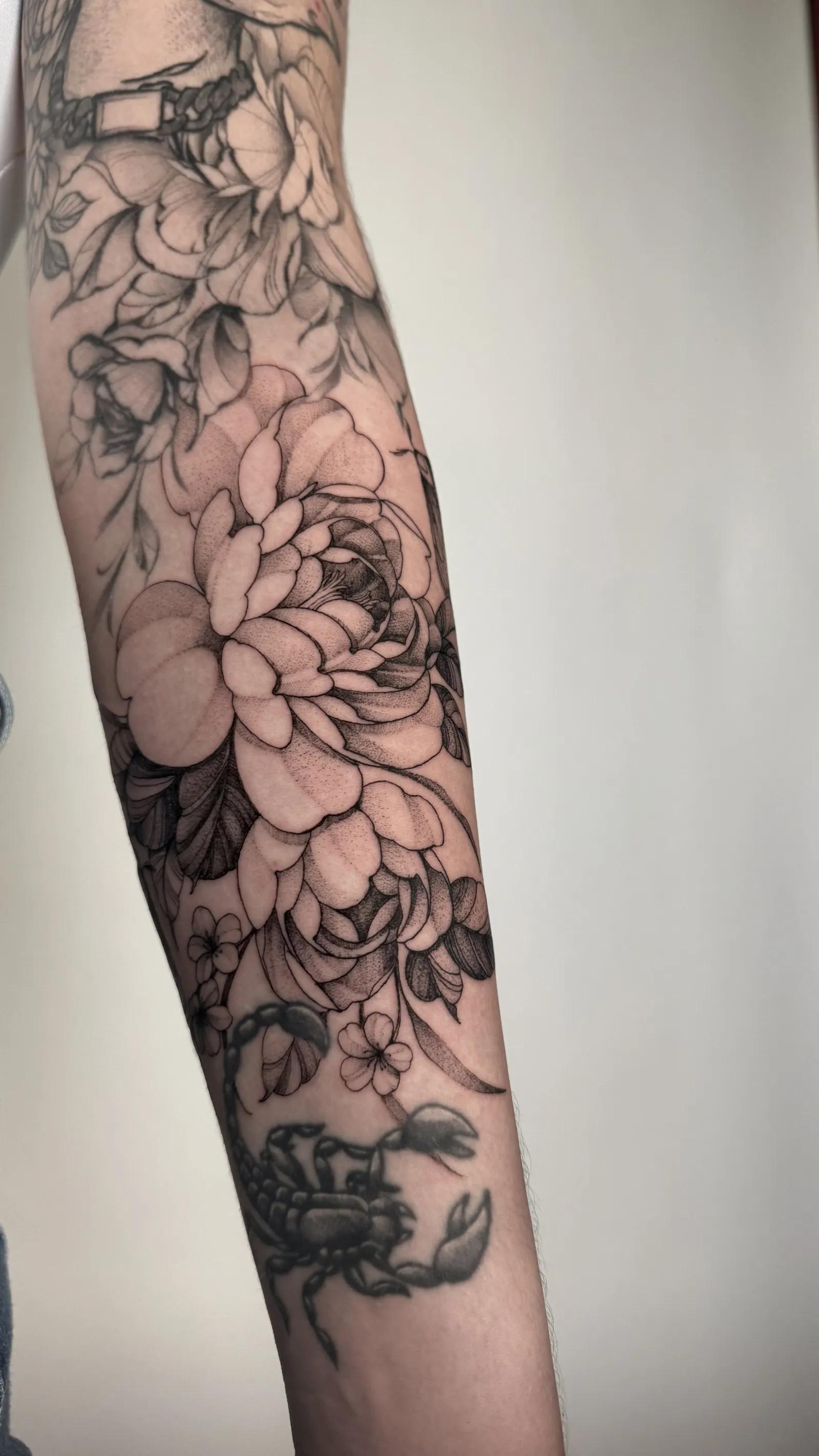 Fineline Tattoo Beispiel – 13 Tattoo Fürth & Nürnberg