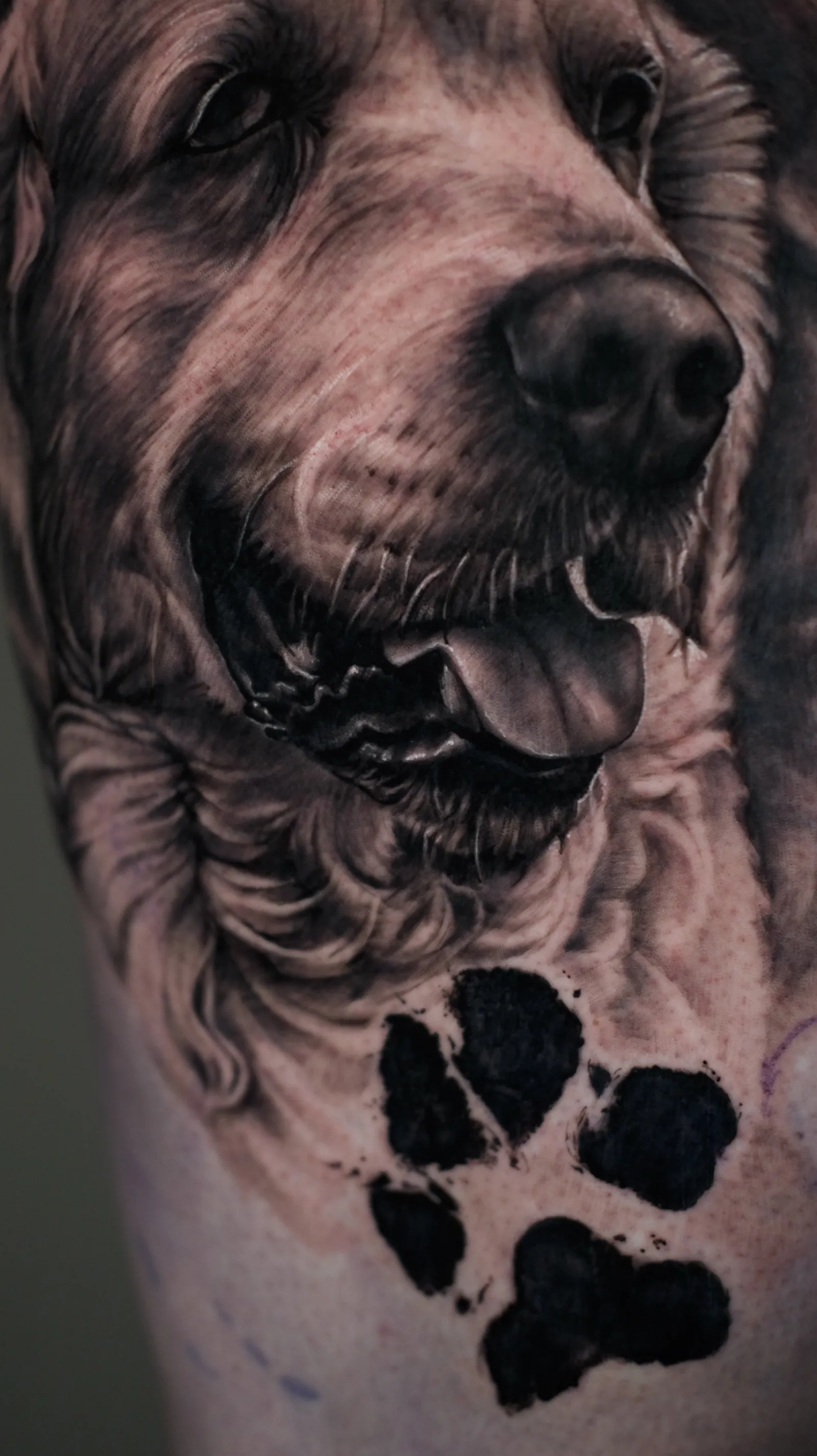 Tierportrait