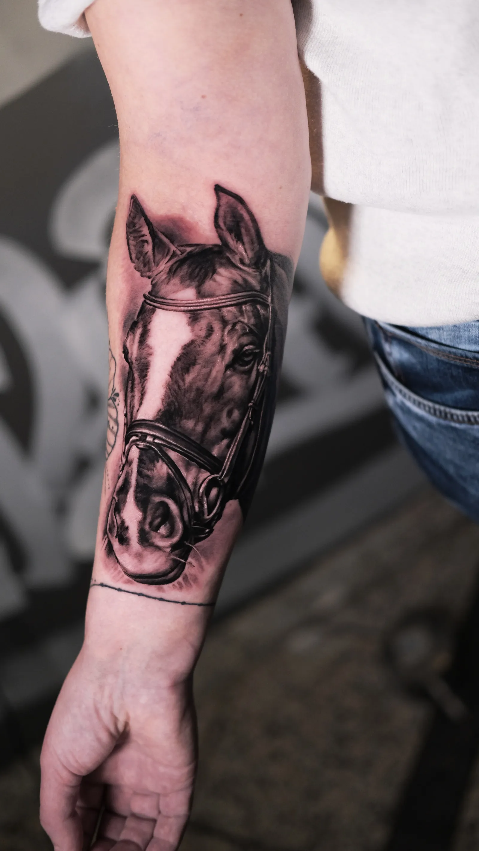 Tierportrait