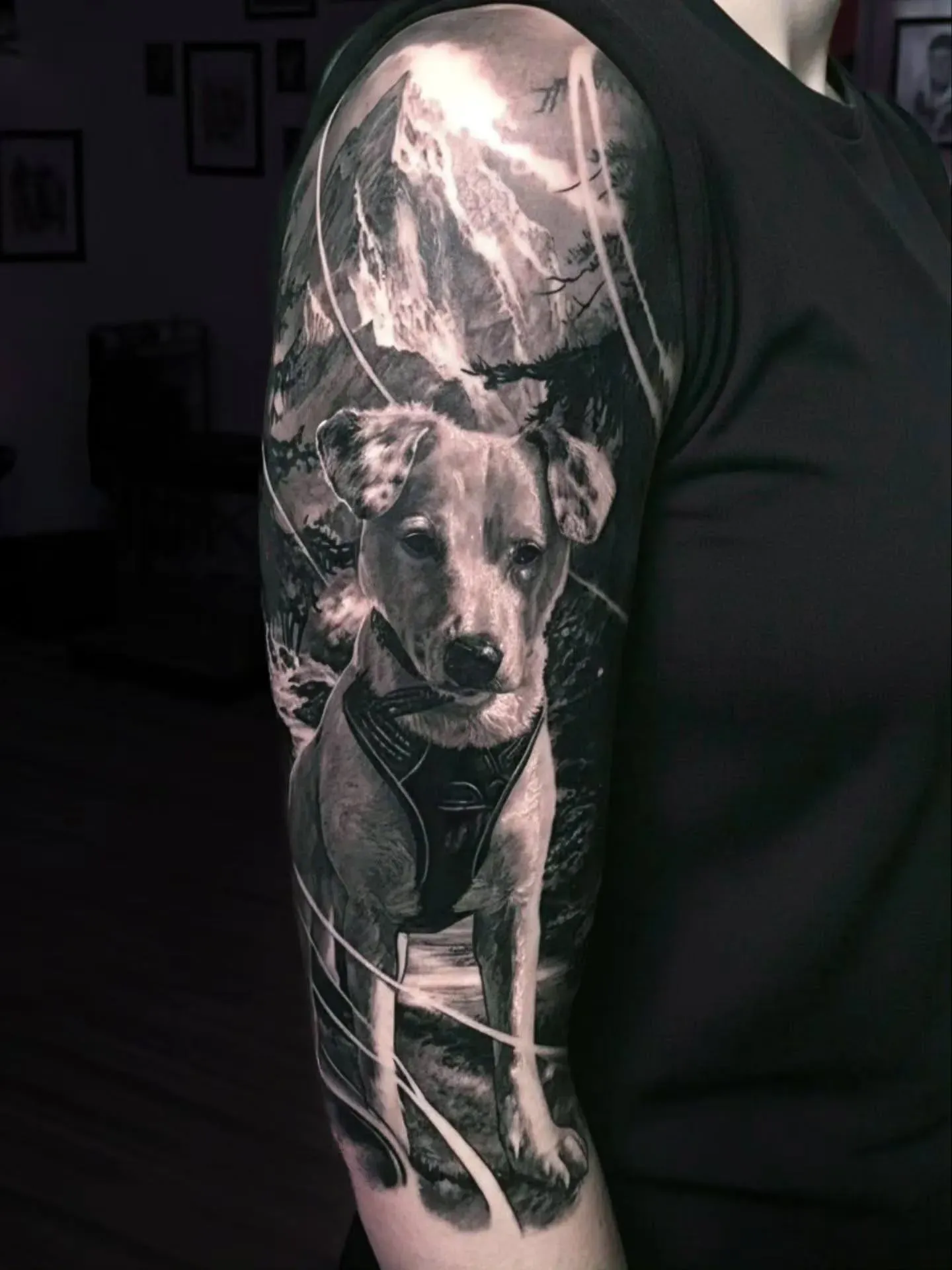 Tierportrait
